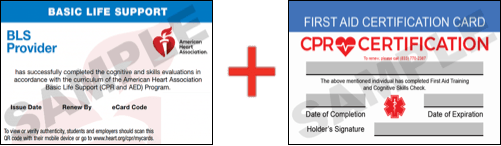 Sample American Heart Association AHA BLS CPR Card Certificaiton and First Aid Certification Card from CPR Certification Sacramento