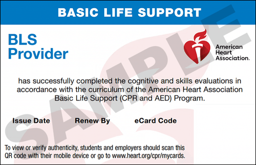 Sample American Heart Association AHA BLS CPR Card Certification from CPR Certification Sacramento