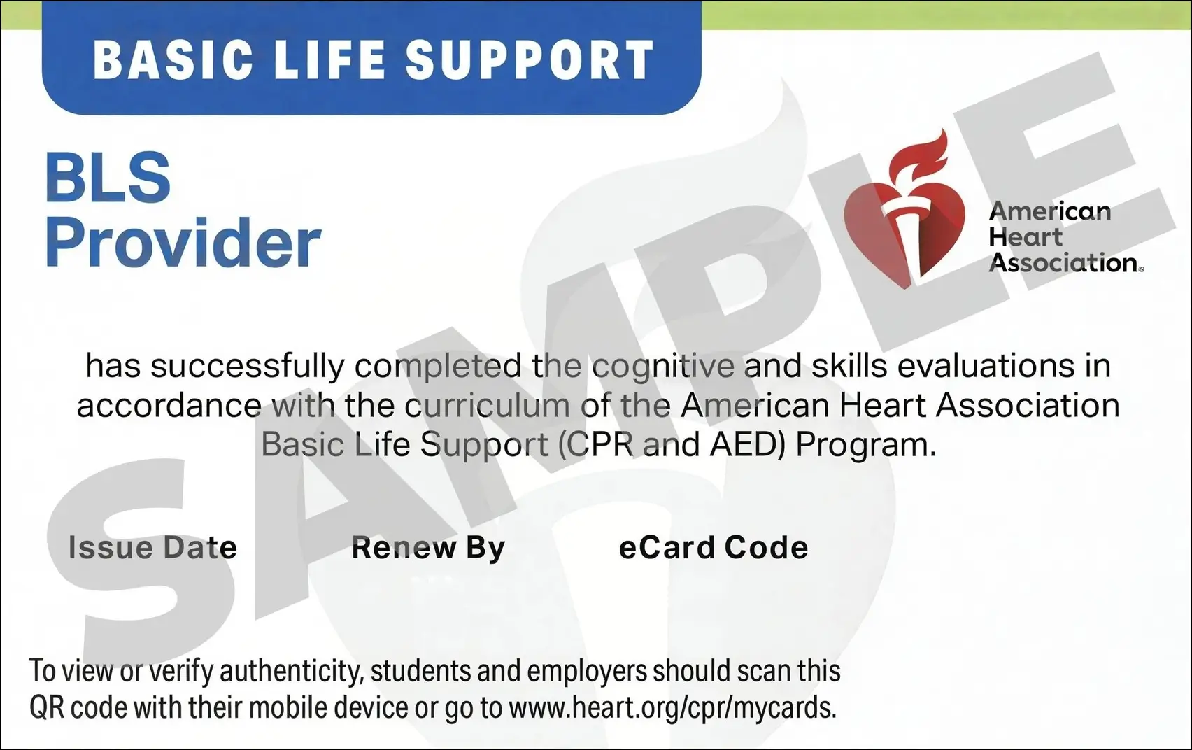 Sample American Heart Association AHA BLS CPR Card Certification from CPR Certification Sacramento